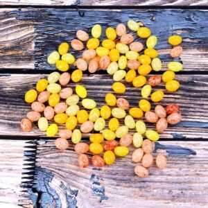 KFC Jelly Beans