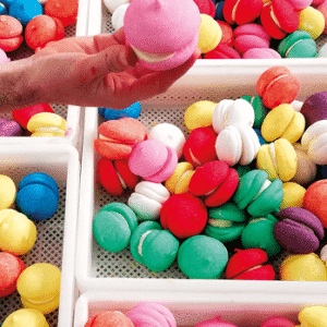 Mega Macarons Mallows 2 stuks