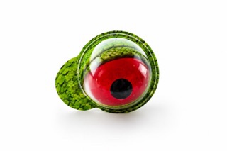 Dragon Gummy Eyes - Afbeelding 3